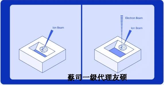 红河扫描电子显微镜